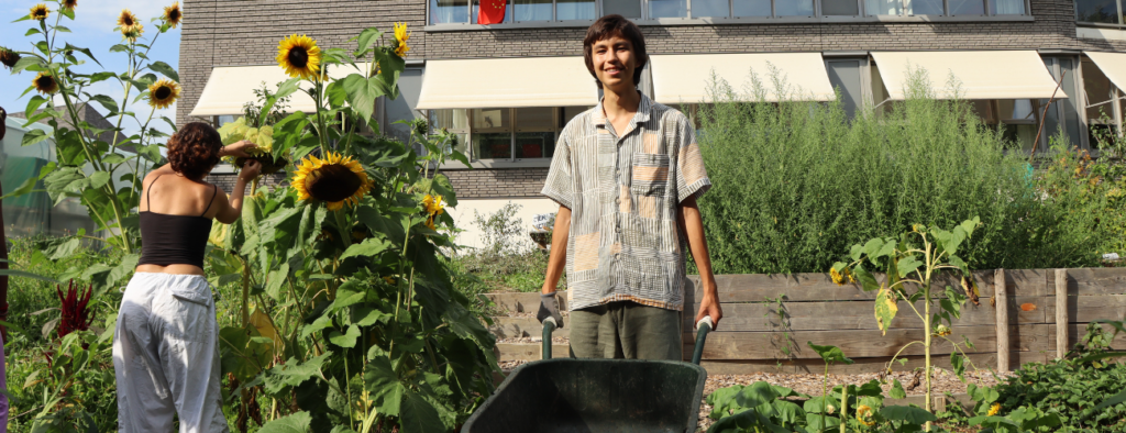 Students working in garden